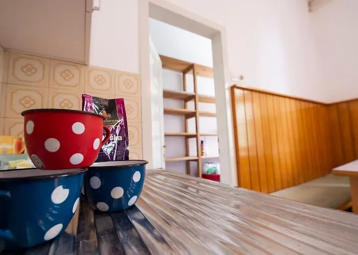 Socialist Experience In The Center * ليوبليانا